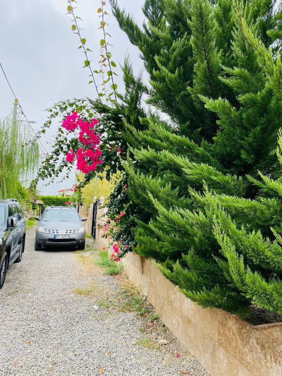 زمین در شمال جنگلی