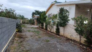 فروش خانه روستایی در چمستان